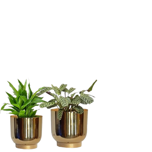 Pot de luxe dernière jardinière de table prix de gros nouveau dernier pot de fleur de jardin pour la maison et le jardin pots intelligents et jardinière - Product Image 6