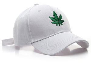 Gorra de Béisbol de 6 Paneles con Logotipo, Gorras Deportivas de Golf Ajustables, Gorras Personalizadas con Bordado de Alta Calidad, Recuerdo Unisex para Adultos y Niños - Product Image 2