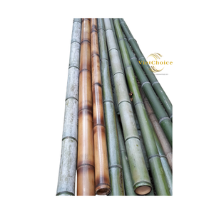 Poteau de bambou naturel écologique solide de haute qualité origine du Vietnam taille personnalisée support de plante de jardin durée de conservation à long terme 2 - Product Image 6