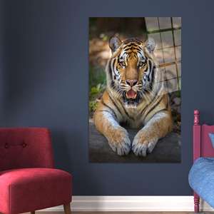 Impresión en Lienzo de Tigre Acostado: Arte Mural Realista de Gato de la Selva, Arte en Vidrio Templado - Product Image 1