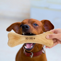 Jouets à mâcher pour chien ArtisRaw modernes, écologiques, antibactériens, imperméables, en bois, saveur d'antlers, toutes saisons, faits à la main, solides