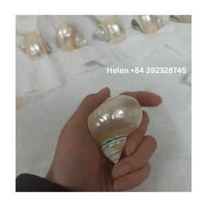 LAS MÁS VENTAS DE ANILLOS DE SERVILLETA DE CONCHA MARINA PULIDOS PIEL LISA ANILLOS DE CONCHA MARINAS SUPER BRILLANTES HECHOS EN VIETNAM - Product Image 6