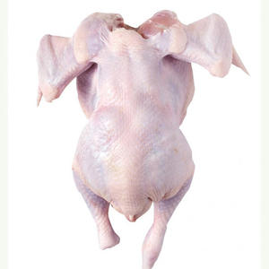 Brazilian Halal Frozen Chicken Top Quality <b>Poultry</b> <b>Meat</b> Halal and Deep Frozen for Long Shelf Life - Product Image 4