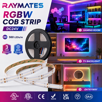 Bande LED COB Flexible Dimmable 24V RGBW 4-en-1 Haute Densité pour Décoration de Chambre et Armoires de Cuisine (Vente en Gros)