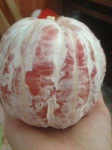 Pomelo de Vietnam Farm/ Well Price Frozen Pomelo - Product Image 2