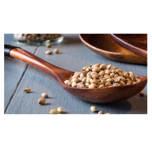 Especias Naturales, Hierbas y Condimentos, Semillas de Cilantro Secas, Semillas de Cilantro en Trozos y Granos Enteros - Product Image 5