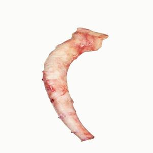 Quality Frozen <b>Beef</b> Pizzle Supplier - Product Image 3