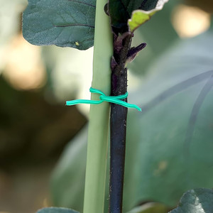 50m Horticultural <b>Wire</b> Fruit Tree Nursery Garter Garden <b>Netting</b> for Effective Pruning and Training - Product Image 4