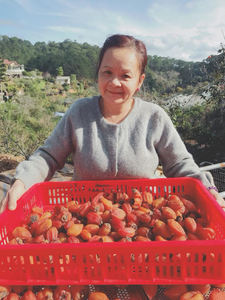 Kaki séché naturellement doux du Vietnam, produit de qualité supérieure idéal pour l'emballage OEM et la distribution des exportations de supermarchés - Product Image 3