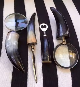 Lupa de mano personalizable con mango de cuerno de búfalo ecológico acabado pulido equipo de aumento compatible con OEM - Product Image 2
