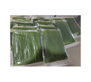 ใบตองแช่แข็งสำหรับห่ออาหารผลิตภัณฑ์ขายดีใบตองแช่แข็งสำหรับเสิร์ฟอาหารจากเวียดนาม - Product Image 1