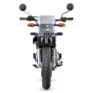Ventes annuelles 2026 TW200 Dual-Sport Nouveau (Motocyclettes) - Product Image 1