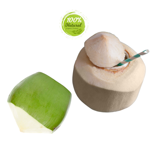 มะพร้าวเจียระไนเพชรรสชาติของผลิตภัณฑ์ทางการเกษตรที่หรูหราในเขตร้อนชื้น - Product Image 5