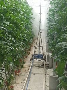 Máquina pulverizadora de pesticidas Manual de la mejor calidad para invernadero, tomate de fresa, cultivo grande, 2 años de garantía, proveedor turco - Product Image 5