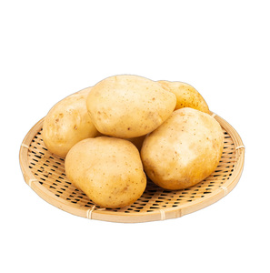 Patatas Frescas Refrigeradas de Shandong en Bolsas de Malla de 10kg/20kg - Product Image 2