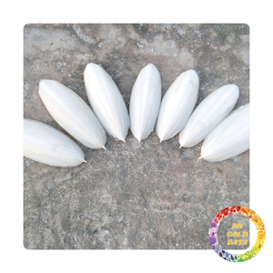 Os de seiche séché du Viet Nam | Grande source de remède naturel | Prix de gros - Product Image 4