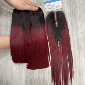 Cabello liso de hueso de vino tinto alineado con cutícula, cabello vietnamita de alta calidad para venta al por mayor, tejido de pelo liso de hueso sedoso - Product Image 1