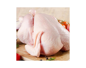 เนื้อไก่แช่แข็งฮาลาล