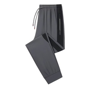 Pantalons décontractés pour hommes 2024 nouvelle mode d'été pantalons de sport à cordon de serrage haute élasticité grande taille soie glacée séchage rapide droite - Product Image 1