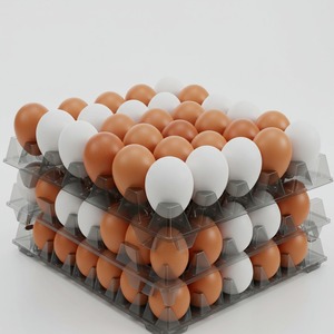 ไก่ไข่สดแบบมีโปรตีนธรรมชาติธรรมชาติไข่ออร์แกนิคสีขาวน้ำตาล - Product Image 4