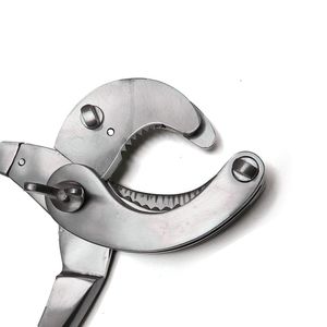 Offre Spéciale Émasculateur à cliquet Serra 35,5 cm en acier inoxydable de haute qualité, instrument vétérinaire pour chevaux - Product Image 5