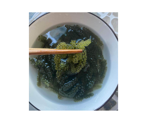 Uva marina de Vietnam deshidratada a granel, uva de mar fresca de calidad superior, altos estándares, las mejores ofertas de exportación para compradores, buenas ofertas - Product Image 4