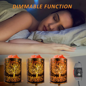 Lámpara de sal del Himalaya IMPEX 2024, la más alta calidad de Pakistán, cuenco náutico personalizado de imitación antigua tallada, artesanías naturales para el hogar - Product Image 4