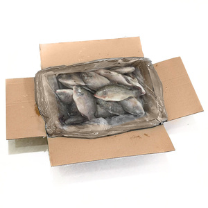 Tilapia Congelada al por Mayor |   Tilapia China a Precio Competitivo, Adecuada para Contratos de Suministro a Largo Plazo - Product Image 6