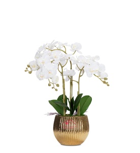 Diseño nórdico de tendencia, florero decorativo de boda más vendido, accesorios organizadores de mesa de boda de lujo - Product Image 6