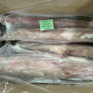 Calamar Entero Congelado Loligo, Recién Cauturado, Mariscos de Vietnam, IQF, Grado de Exportación, Alta Calidad, Marca Personalizable, Suministro a Granel, Salvaje 24 - Product Image 6