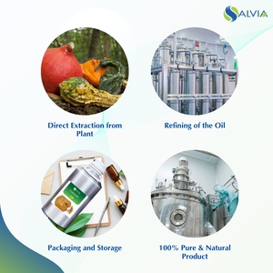 Colocynth Oil 100% Puro y natural Al por mayor Precio más bajo Embalaje personalizado - Product Image 4