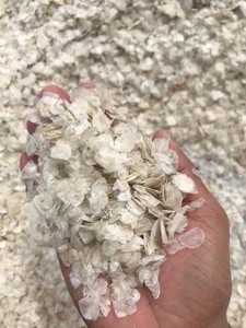 เกล็ดปลาแห้งแบบครีบเกลียวสำหรับปลาแห้งแบบร้อนส่งออกจากเวียดนาม - Product Image 6