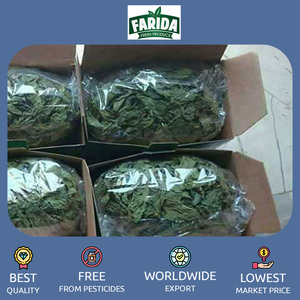 Leader nella qualità superlativa ampiamente utilizzata 100% Pure Molokhia foglie frantumate a un prezzo di mercato genuino - Product Image 4