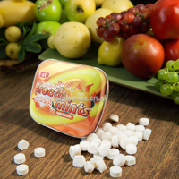 Permen Tablet Xylitol Bebas Gula, Permen Tekan Ramah Gigi, Permen Manis untuk Pajangan Toko Hadiah