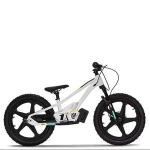 NUEVA Motocicleta Eléctrica de Equilibrio de Alta Calidad y Potencia EE 1.20 - Product Image 1