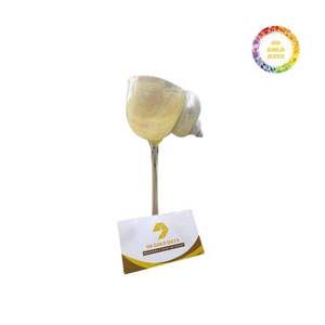 Taza de concha hecha a mano de Vietnam con Base de latón elegante estilo océano decoración del hogar MESA DE REGALO exhibición artesanía única - Product Image 6