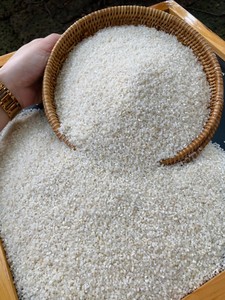 Mejor Precio para Importadores Globales: Arroz Arborio Orgánico de Grano Largo Blanco Duro para Exportación - Product Image 4
