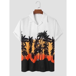 Camisas Premium de playa al por mayor último chándal de verano al aire libre para niños chándal de jogging conjuntos de 2 piezas en muchos colores - Product Image 4