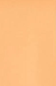 Nuevo estilo de ropa de moda de verano para mujer, Top corto con agujero para el pulgar, Top corto de gran tamaño con aberturas laterales - Product Image 3