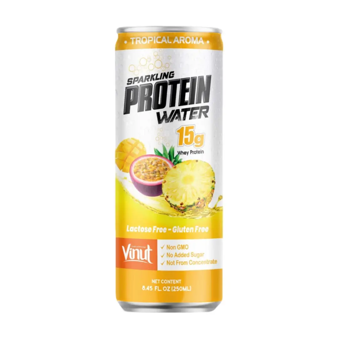 Air Protein berkilau 250ml, 24 Pak VINUT - 15g Protein, 0g ditambahkan gula, bebas laktosa, sampel gratis, pemasok grosir