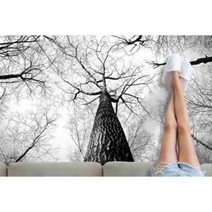 Alfombra Estampada con Diseño de Ramas de Árbol - Linda y Suave para Decoración del Hogar, con Pelo Suave - Product Image 5