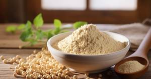 Harina de soja de alta calidad a la venta a bajo precio desde India, soja de alta calidad, cosecha 2026, soja amarilla con alto contenido de proteínas - Product Image 4