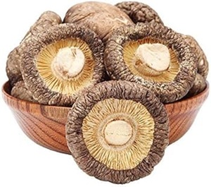 Champignons Shiitake entiers séchés naturels de haute qualité, cultivés à l'état sauvage, transformation brute, vente en gros, 25 kg, Pays-Bas - Product Image 3