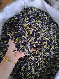 Meilleure vente de fleurs de thé séchées papillon pois - Product Image 5