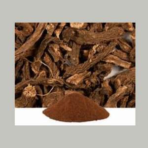 Tambor en polvo de extracto de raíz de Coleus Forskohlii Ayurvédico Wildcrafted empaquetado de suplemento a base de plantas de Japón - Product Image 1