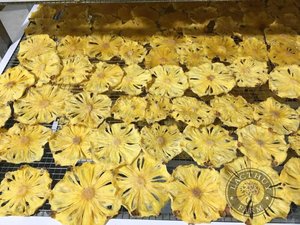 Croustilles d'ananas déshydratés ananas séchés sucrés // Shyn Tran - Product Image 5