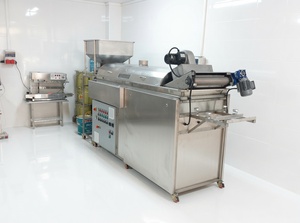 Freidora de Banda Continua de Acero Inoxidable para Cacahuetes, Anacardos y Maíz, Máquina para Freír Alimentos, 900 Kg/h, 2 Años de Garantía, SUISER MAKINE - Product Image 6