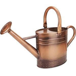 Arrosoir en métal de vente chaude pour les plantes d'extérieur et d'intérieur arrosoir de jardinage galvanisé avec poignées en acier inoxydable - Product Image 2