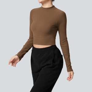 Top de Yoga de manga larga sin costuras para mujer, ropa deportiva de secado rápido para correr en otoño e invierno, venta al por mayor disponible de talla grande transpirable - Product Image 3