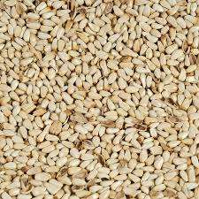 Graines de Carthame Biologiques Certifiées de Qualité Supérieure |   pour l'extraction d'huile et l'alimentation des oiseaux |   Origine ZA |   Sacs en plastique |   Exportateur - Product Image 4